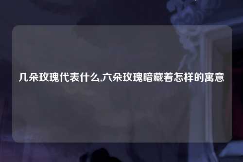 几朵玫瑰代表什么,六朵玫瑰暗藏着怎样的寓意