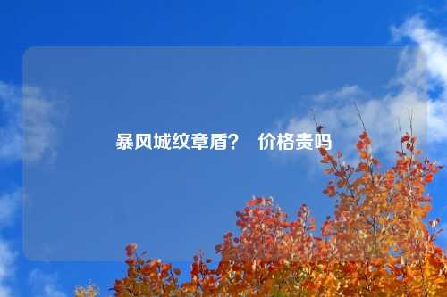 暴风城纹章盾？  价格贵吗