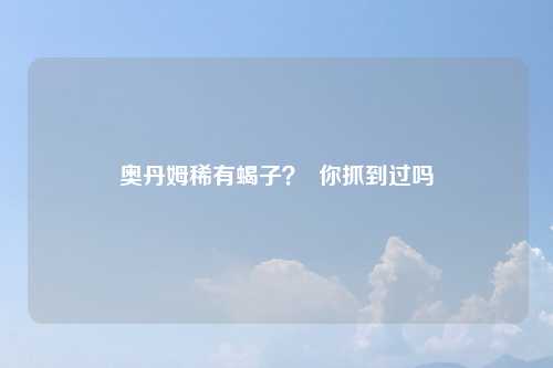 奥丹姆稀有蝎子？  你抓到过吗