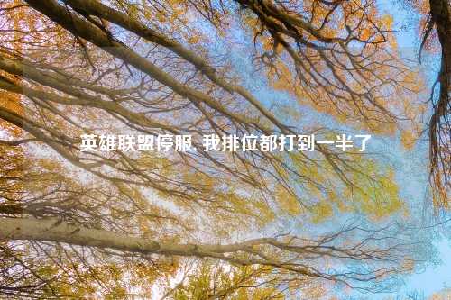 英雄联盟停服, 我排位都打到一半了