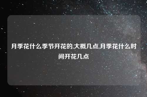 月季花什么季节开花的,大概几点,月季花什么时间开花几点