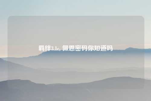 羁绊3.1c, 佩恩密码你知道吗