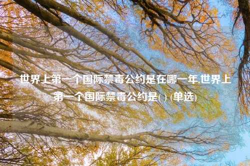 世界上第一个国际禁毒公约是在哪一年,世界上第一个国际禁毒公约是( ) (单选)