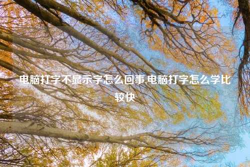 电脑打字不显示字怎么回事,电脑打字怎么学比较快