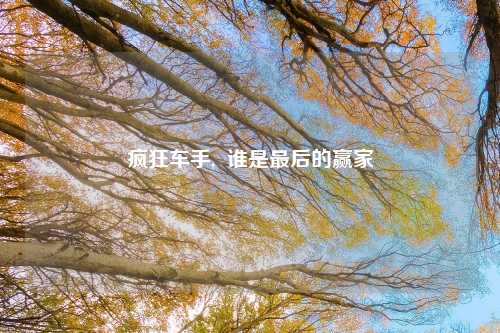 疯狂车手,  谁是最后的赢家