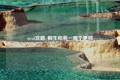 steal攻略, 桐生和亮一哪个更帅