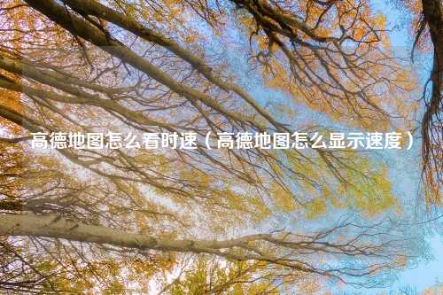 高德地图怎么看时速（高德地图怎么显示速度）