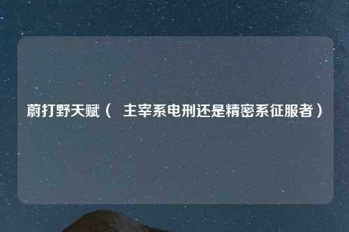 蔚打野天赋（  主宰系电刑还是精密系征服者）