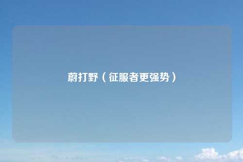 蔚打野（征服者更强势）