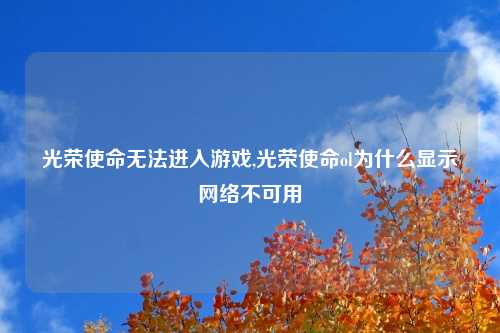 光荣使命无法进入游戏,光荣使命ol为什么显示网络不可用