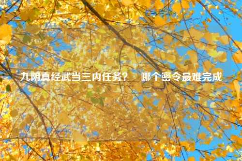 九阴真经武当三内任务？   哪个密令最难完成