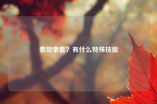 泰坦拳套？有什么特殊技能