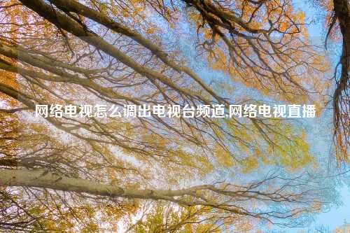 网络电视怎么调出电视台频道,网络电视直播