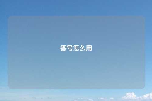 番号怎么用