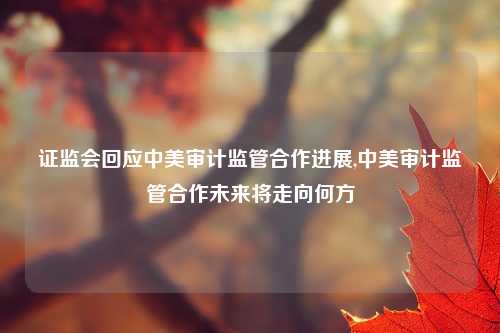 证监会回应中美审计监管合作进展,中美审计监管合作未来将走向何方