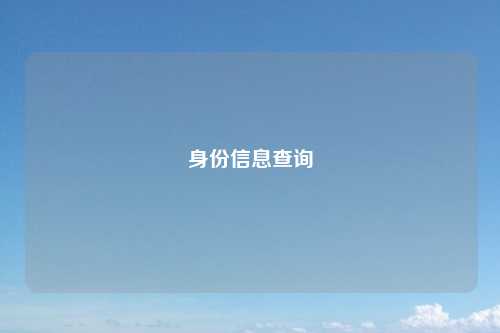 身份信息查询