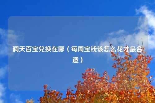 洞天百宝兑换在哪（每周宝钱该怎么花才最合适）