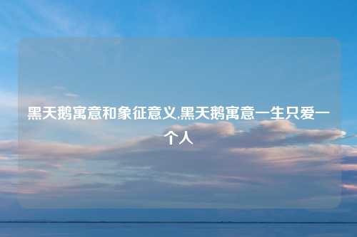 黑天鹅寓意和象征意义,黑天鹅寓意一生只爱一个人