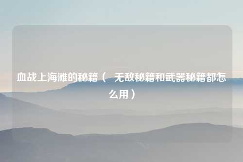 血战上海滩的秘籍（  无敌秘籍和武器秘籍都怎么用）