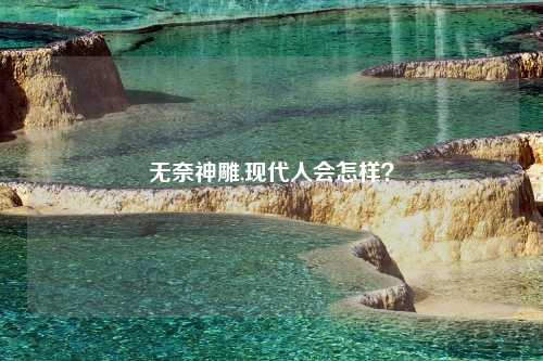 无奈神雕,现代人会怎样？