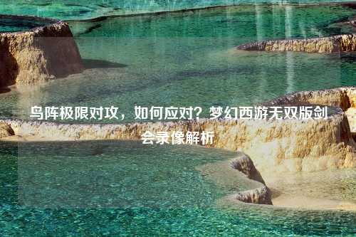 鸟阵极限对攻，如何应对？梦幻西游无双版剑会录像解析