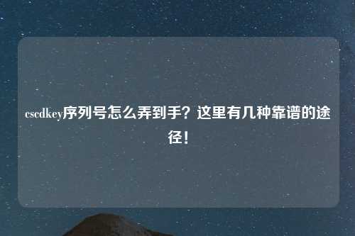 cscdkey序列号怎么弄到手？这里有几种靠谱的途径！