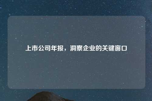 上市公司年报，洞察企业的关键窗口