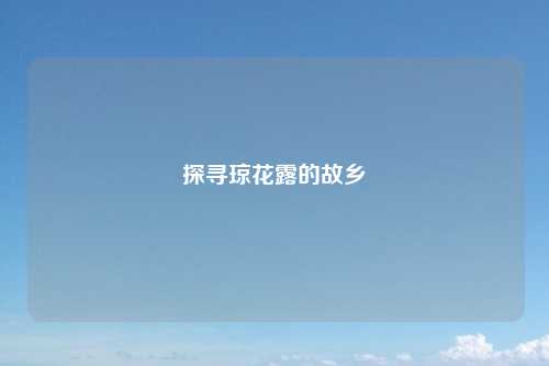 探寻琼花露的故乡