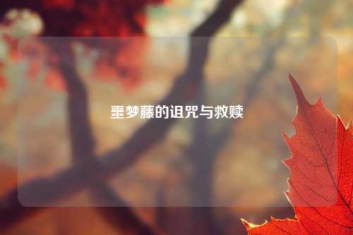 噩梦藤的诅咒与救赎