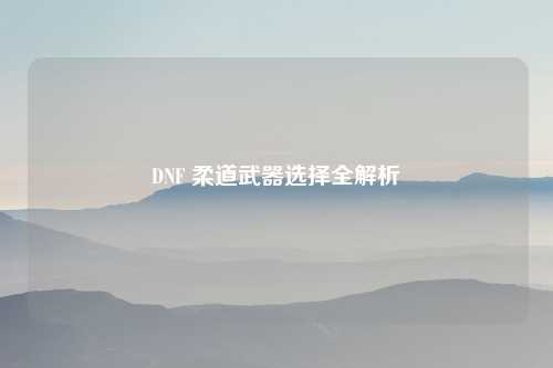 DNF 柔道武器选择全解析