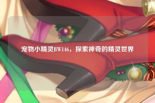 宠物小精灵BW146，探索神奇的精灵世界