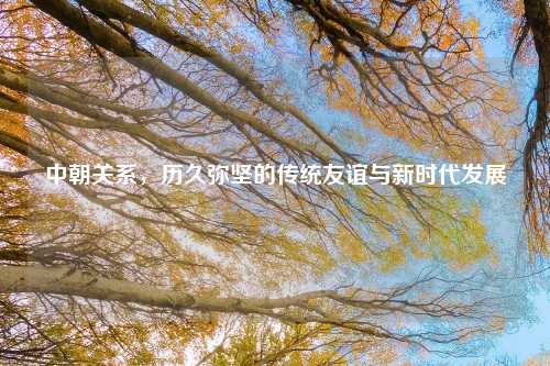 中朝关系,历久弥坚的传统友谊与新时代发展