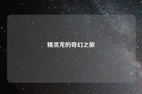 精灵龙的奇幻之旅