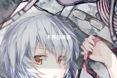不再召唤兽