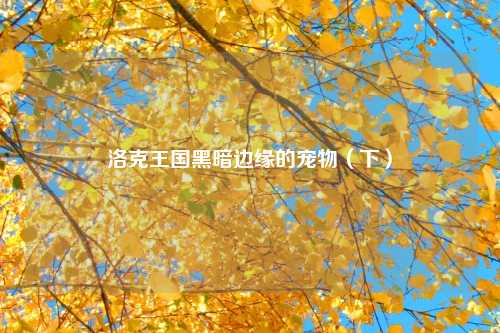 洛克王国黑暗边缘的宠物(下)