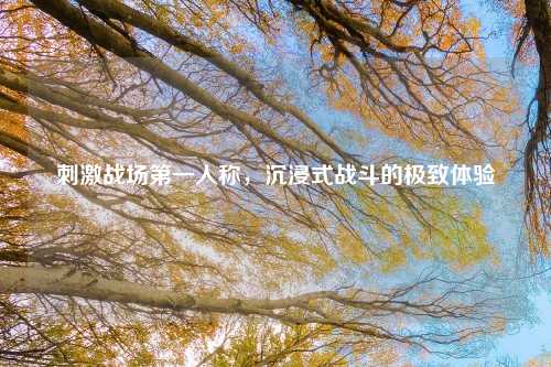 刺激战场第一人称，沉浸式战斗的极致体验