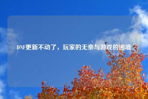 DNF更新不动了，玩家的无奈与游戏的困境