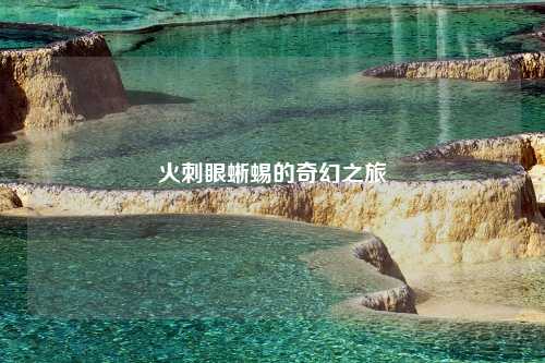 火刺眼蜥蜴的奇幻之旅