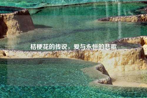 桔梗花的传说,爱与永恒的悲歌