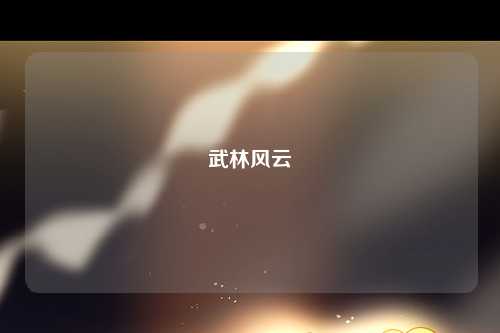 武林风云