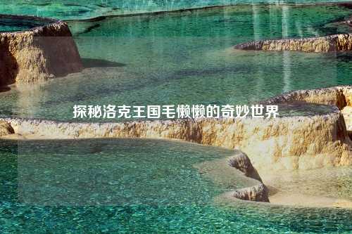 探秘洛克王国毛懒懒的奇妙世界