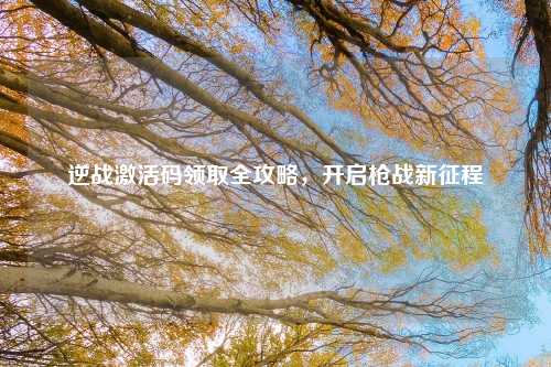 逆战激活码领取全攻略,开启枪战新征程