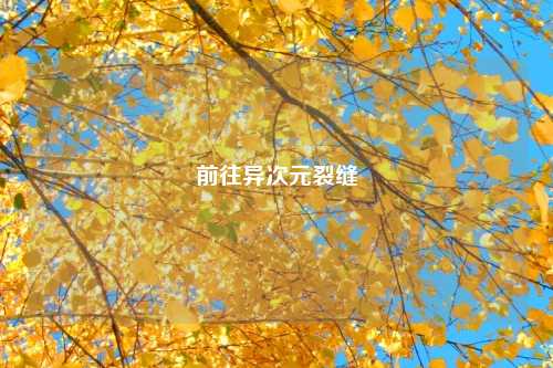 前往异次元裂缝