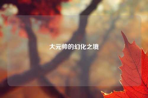 大元帅的幻化之境