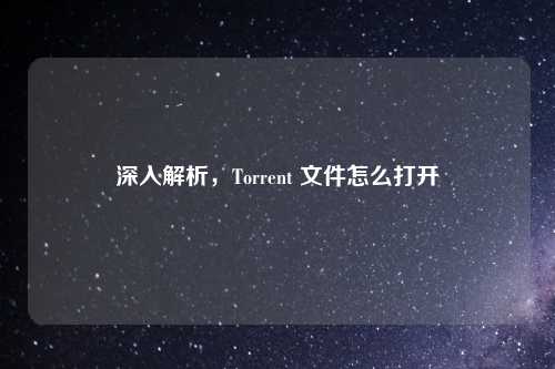 深入解析，Torrent 文件怎么打开