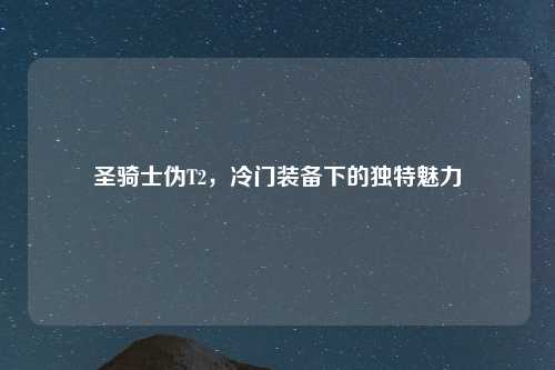 圣骑士伪T2,冷门装备下的独特魅力