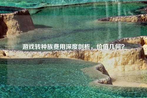 游戏转种族费用深度剖析，价值几何？