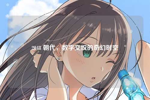 2048 朝代，数字交织的奇幻时空