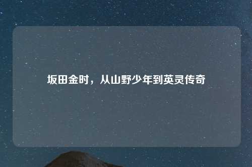 坂田金时,从山野少年到英灵传奇