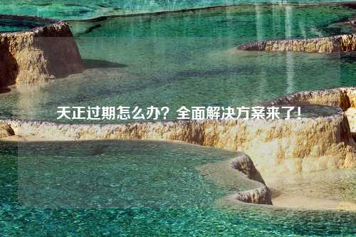 天正过期怎么办？全面解决方案来了！